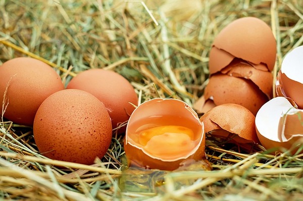 Cała prawda o jajkach - jeść czy unikać? fot. 3